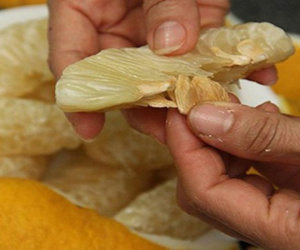3 bài thuốc dân gian chữa đau dạ dày hiệu quả chưa đến 2 nghìn đồng