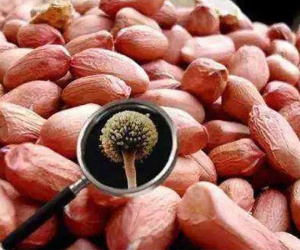 20 mg gây tử vong, chất hay xuất hiện trong bếp của người Việt