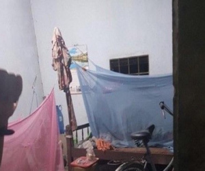Bắt giữ đối tượng giết chị gái rồi bỏ trốn