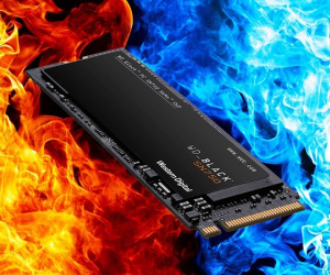 Những mẫu SSD đáng mua trong năm nay