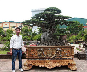Anh bán hàng rong kiếm 20 nghìn mỗi ngày thành đại gia chi 16 tỷ mua cây cảnh 'khủng'
