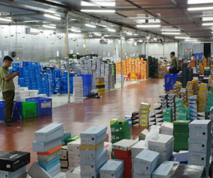 Mất 4 ngày đêm kiểm kê và 34 container chứa hàng niêm phong trong kho hàng lậu khủng ở Lào Cai