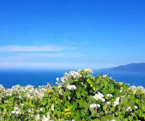 5 năm quần quật ở xứ người, ngày về mới phát hiện ‘nuôi con tu hú’
