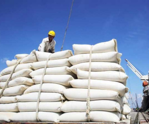 'Bối cảnh khẩn cấp', đằng sau ồn ào tạm dừng xuất khẩu gạo