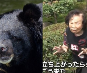 Cụ bà 82 tuổi tay trần đánh nhau với gấu đen hơn 100kg