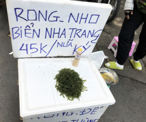 Thực phẩm 'nhà giàu' tràn ra vỉa hè với giá rẻ bèo