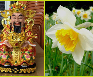 Mỗi sáng đặt thứ này lên bàn thờ Thần Tài, gia chủ ngồi không cũng có lộc