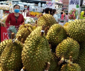 Sầu riêng Malaysia giá tiền triệu vẫn cháy hàng giữa lúc sầu riêng Việt rẻ rề