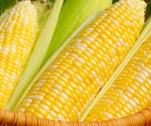 Năm thực phẩm vàng cho dạ dày, ngừa ung thư hiệu quả