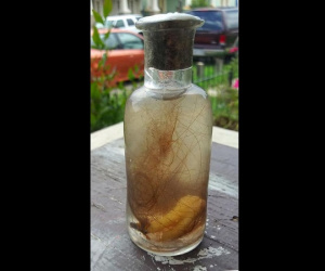 Chiếc lọ phù thủy chứa đầy tóc người và sự thật chưa từng được tiết lộ