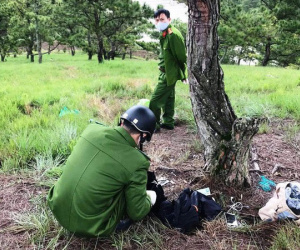 Phát hiện thi thể cô gái và thư tuyệt mệnh cạnh cây thông cô đơn