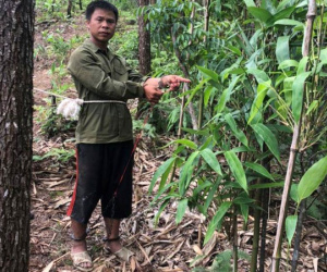 Vụ vợ câu kết với tình nhân giết chồng: Người vợ trốn vào rừng 'mây mưa' với người tình