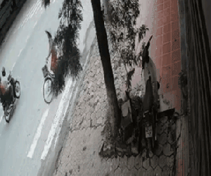 Video: Cú bẻ lái khó tin của bà cô đi xe đạp khiến người đàn ông không kịp trở tay