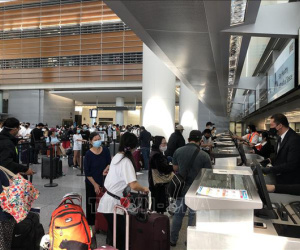 Đưa 340 công dân Việt Nam từ Mỹ về tới sân bay Nội Bài