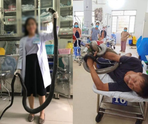 Thông tin bất ngờ vụ nhập viện cùng rắn hổ mang chúa 4,6 kg ở núi Bà Đen