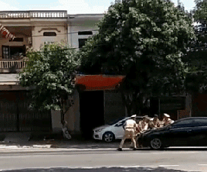 Video: 4 CSGT đứng chặn trước mũi ô tô, tài xế vẫn ngoan cố không chịu dừng khiến tất cả phải chạy lùi