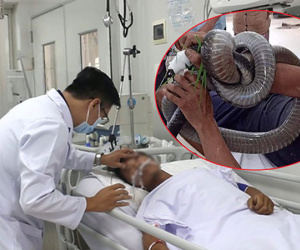 Gia cảnh khốn khó của người 'ôm' rắn hổ mang chúa vào bệnh viện cấp cứu