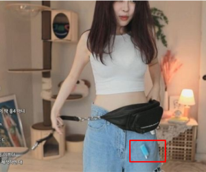 Để lộ 'vật nhạy cảm', hot girl bị cộng đồng mạng chỉ trích, fan hâm mộ quay lưng
