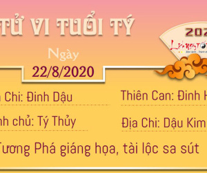Tử vi thứ 7 ngày 22/08/2020 của 12 con giáp: Thìn làm ăn suôn sẻ, Tý tài lộc sa sút