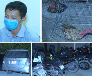 Triệt phá 'sới gà' khủng ở Thanh Hoá, bắt 85 đối tượng