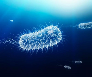 Cuộc sống ít biết của cô gái tiêm siêu vi khuẩn 3,5 triệu tuổi vào cơ thể