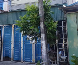 Vụ chồng tẩm xăng đốt vợ ở Thái Bình: Nạn nhân tiên lượng nặng