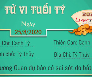 Tử vi thứ 3 ngày 25/08/2020 của 12 con giáp: Dần may mắn, Tý dễ sai sót