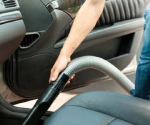 Cách đơn giản và hiệu quả đuổi ruồi, muỗi trong xe