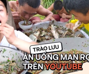 Rùng mình với trào lưu ăn uống man rợ trên YouTube: Câu like rẻ tiền với loạt video ăn cá sống và chất thải động vật?