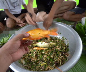Những màn câu like kinh hãi của Youtuber Việt khi ăn 'tất tật' từ cá sống đến gỏi côn trùng rồi cả mỡ lợn nguyên tảng