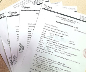 Một tay thao túng chứng khoán, nữ Giám đốc lừa đảo chiếm đoạt 3,6 tỷ đồng của bà giáo già