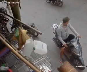 Hành động của chàng trai đi xe tay ga khiến cư dân cảm thấy xấu hổ thay vì đến chuồng chó còn đi ăn trộm