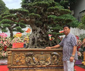 Toàn đô la chi 28 tỷ mua báu vật sanh cổ gây chấn động