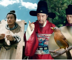 Kỳ án Trung Hoa cổ đại: Tội ác đẫm máu xoay quanh chú chim họa mi đắt giá, 5 người đàn ông lần lượt chết đi trong 3 năm