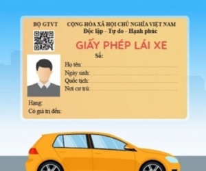 Chính phủ đồng ý bằng lái xe có 12 điểm/năm, vi phạm hết điểm phải thi lại