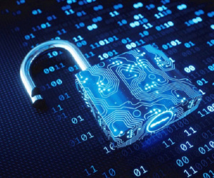 Lời tự thú của 'hieupc': hacker Việt Nam vừa mới ra tù sau 7 năm ngồi nhà giam Hoa Kỳ