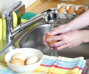 Trứng rất bổ nhưng chúng lại dễ bị hỏng chỉ vì một thói quen mà nhiều người thường làm trước khi cất vào tủ lạnh