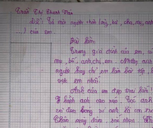 Tả anh trai 'IQ cao hơn Einstein', cô bé lớp 5 khiến dân mạng 'cười nghiêng ngả'
