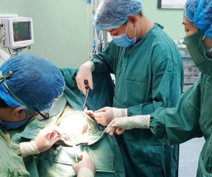 Cháu bé 5 tuổi bị chó nhà cắn rách da đầu