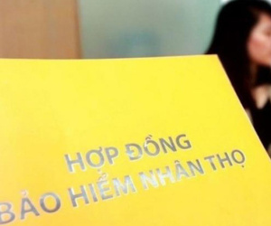 Những lưu ý 'vàng' bạn cần kiểm tra kỹ trước khi đặt bút ký hợp đồng bảo hiểm nhân thọ