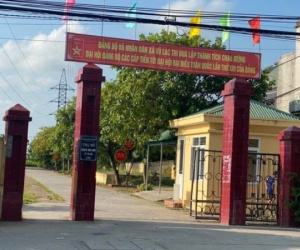 Ảnh minh họa