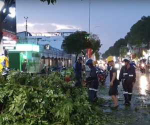 Cây xanh gãy cành đè trúng cặp đôi đi xe máy, cô gái bị thương nặng, bạn trai hoảng loạn kêu cứu