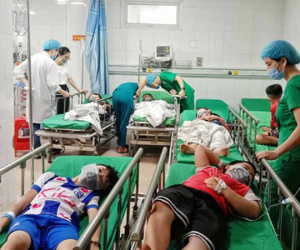 Chọc phá tổ ong trong giờ ra chơi, 16 học sinh tiểu học nhập viện