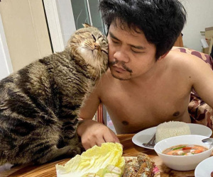 Với anh chồng thì quấn quýt, với chị vợ thì lườm nguýt, chú mèo khiến dân tình sửng sốt thốt lên: Đáng sợ hơn con giáp thứ 13!