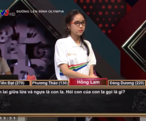 Câu hỏi Sinh học gây khó thí sinh Đường lên đỉnh Olympia nhưng đáp án lại dễ không ngờ: 'Con lai giữa lừa và ngựa là con la, vậy con của con la là con gì?'