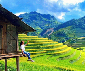 Thua lỗ trăm tỷ, giám đốc du lịch đi bán hoa quả, trà sữa