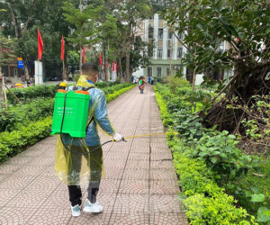 Ảnh minh họa