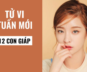 Tử vi tuần mới từ ngày 14/9-20/9/2020 của 12 con giáp: Sửu tiền bạc bội thu, Tị vận đào hoa nở rộ