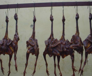 Sự thật rợn người đằng sau món gà hong gió mà giới nhà giàu đua nhau mua ăn để chứng tỏ đẳng cấp vương giả