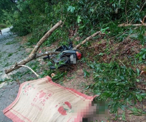 Bão số 5 khiến 23 người bị thương, 1 người đàn ông đi xe máy bị cây đè tử vong